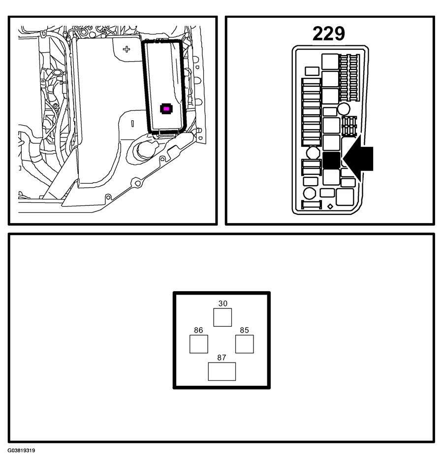 G03819319