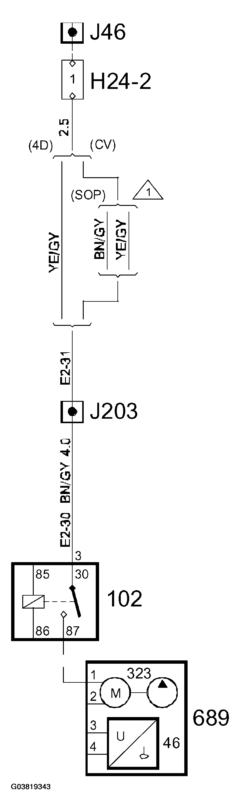 G03819343