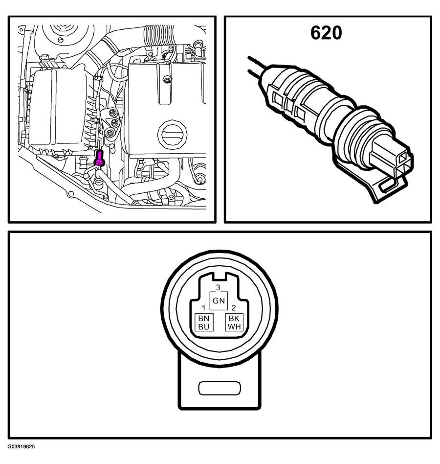 G03819625