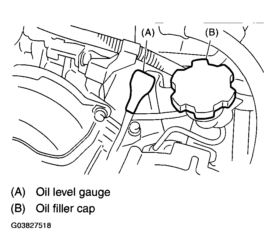 G03827518