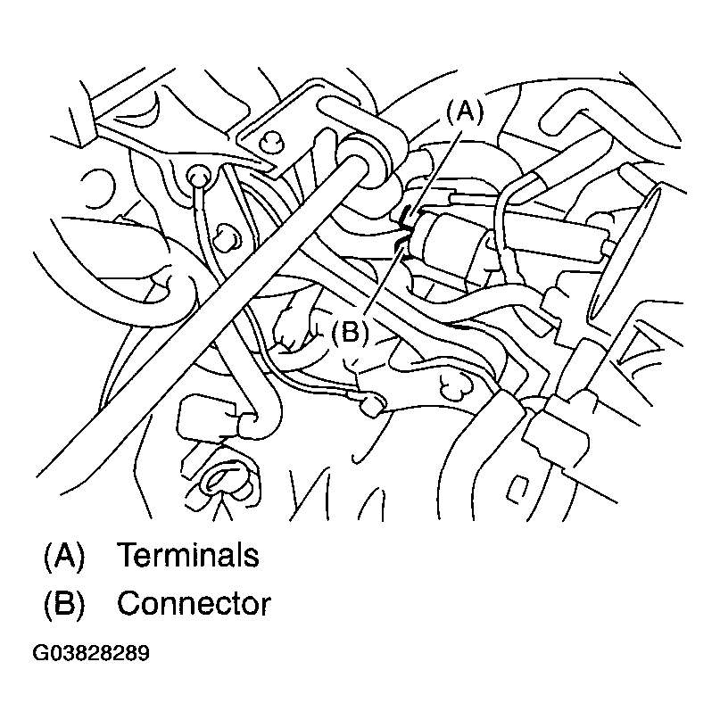 G03828289