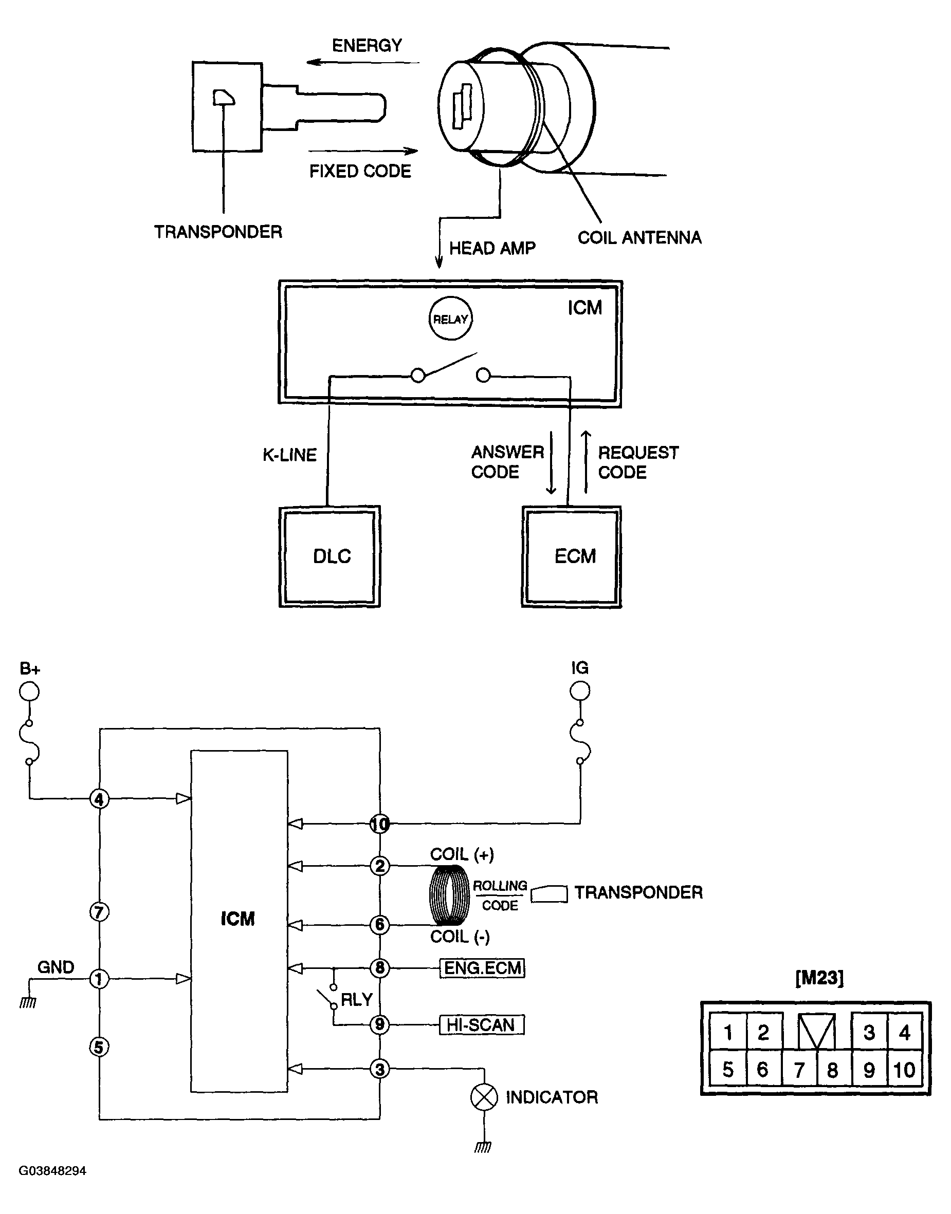 G03848294