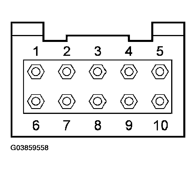 G03859558