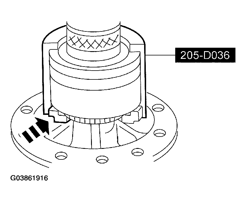 G03861916