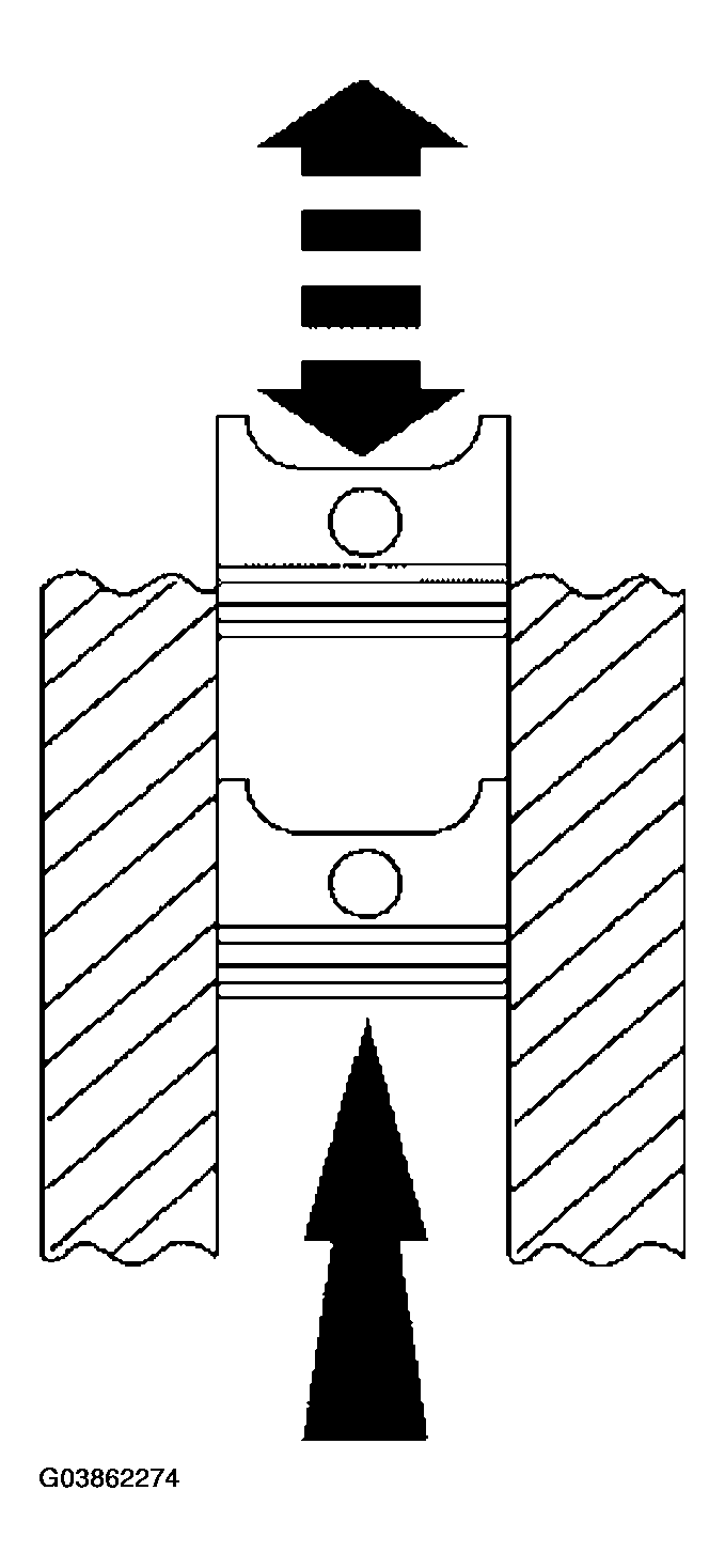 G03862274