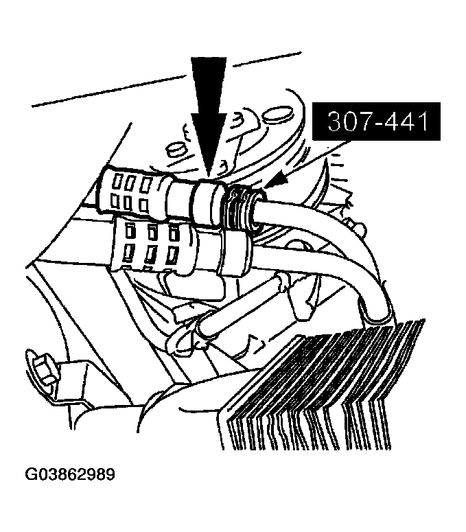 G03862989