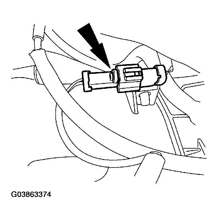 G03863374