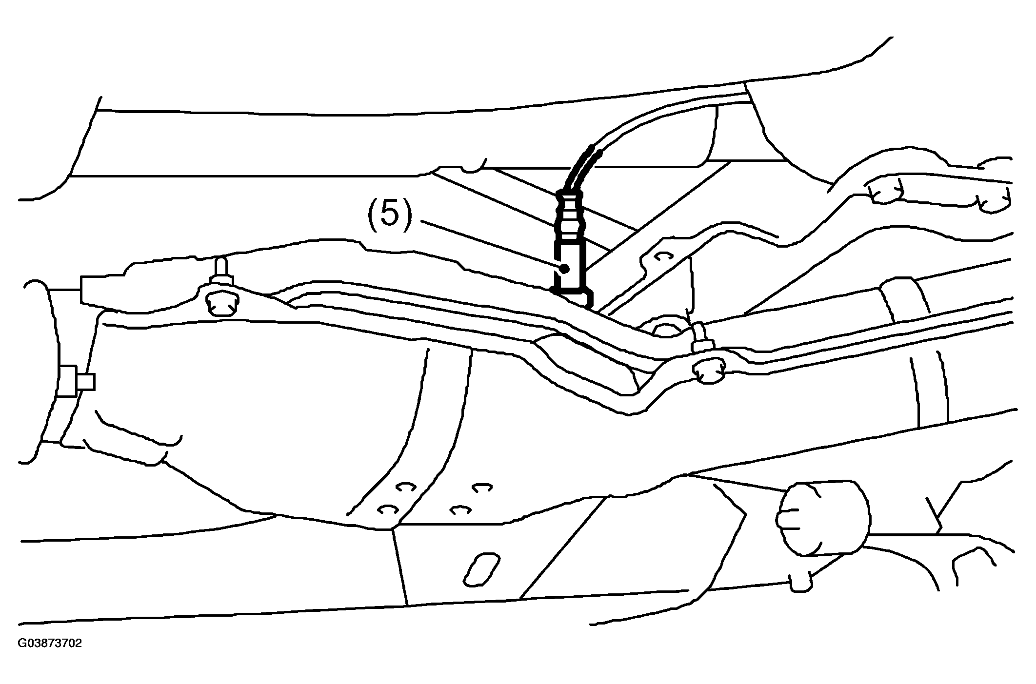 G03873702