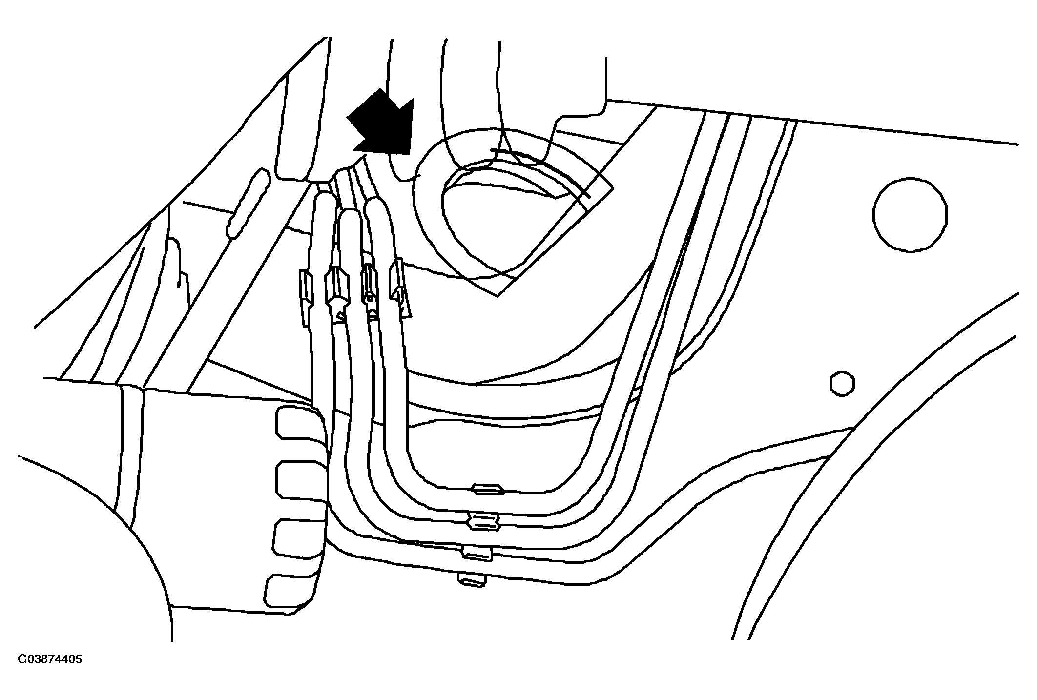 G03874405