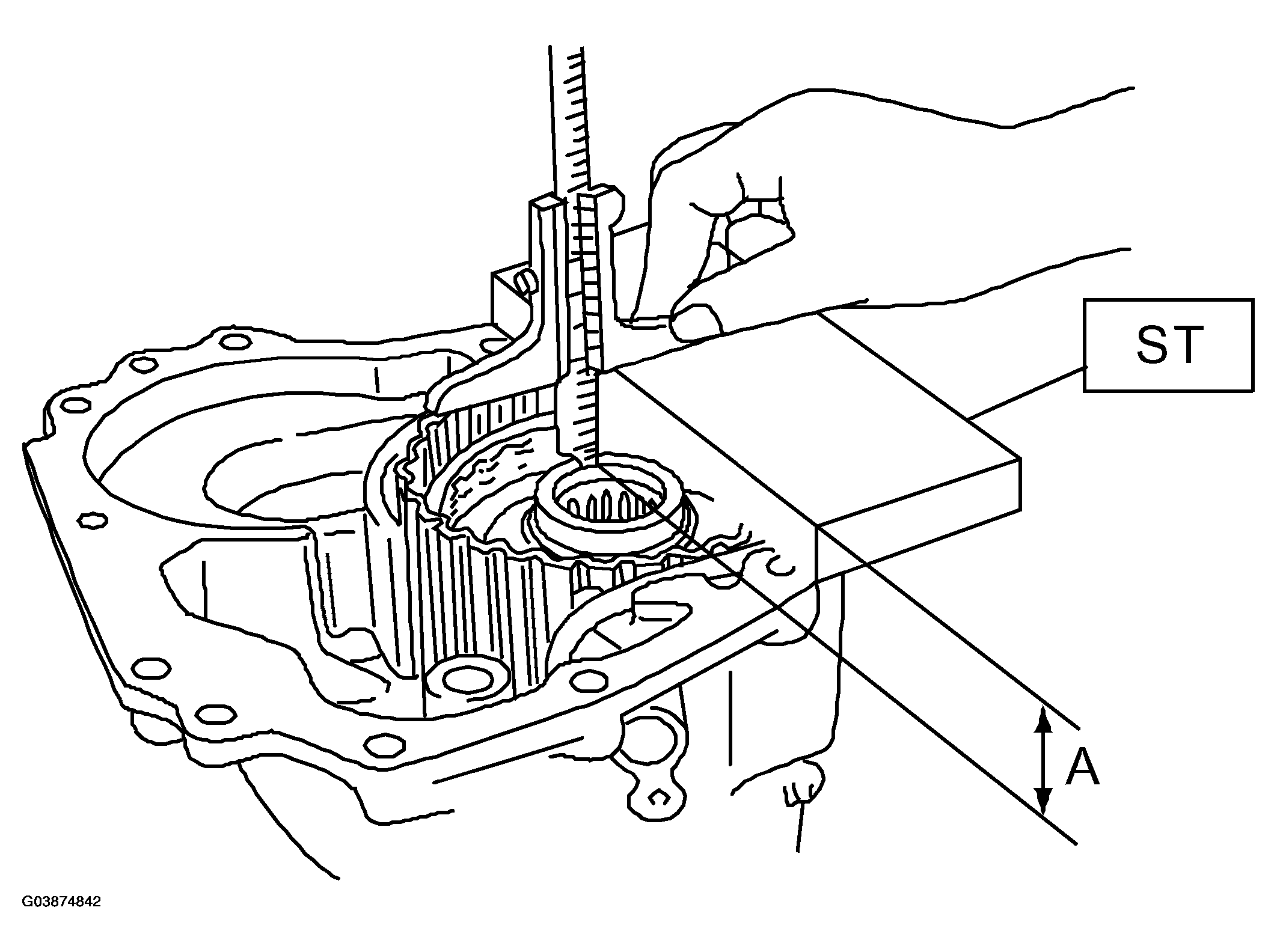 G03874842