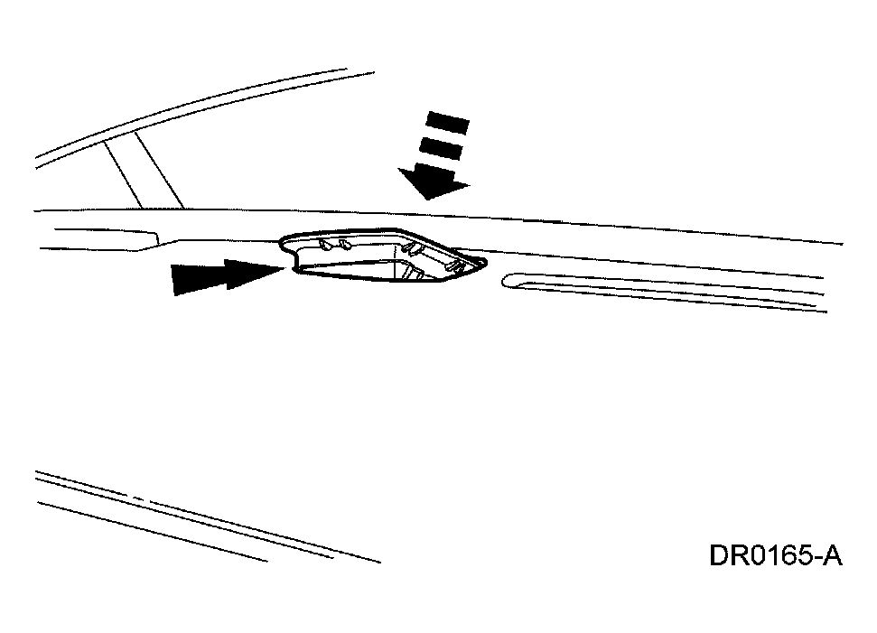 G03891034