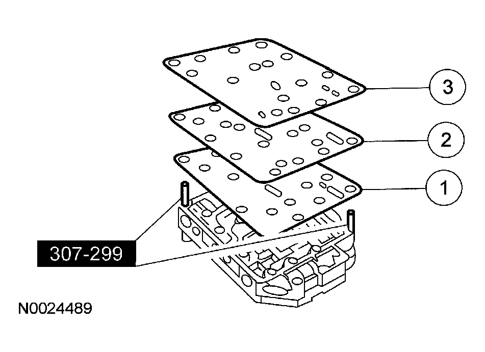 G03901081