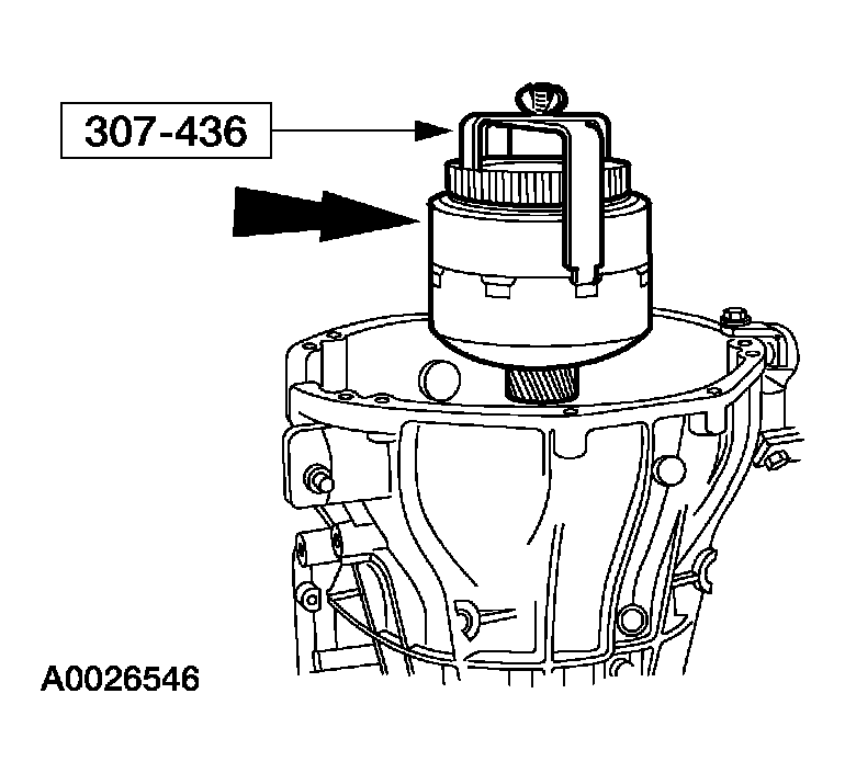 G03908431