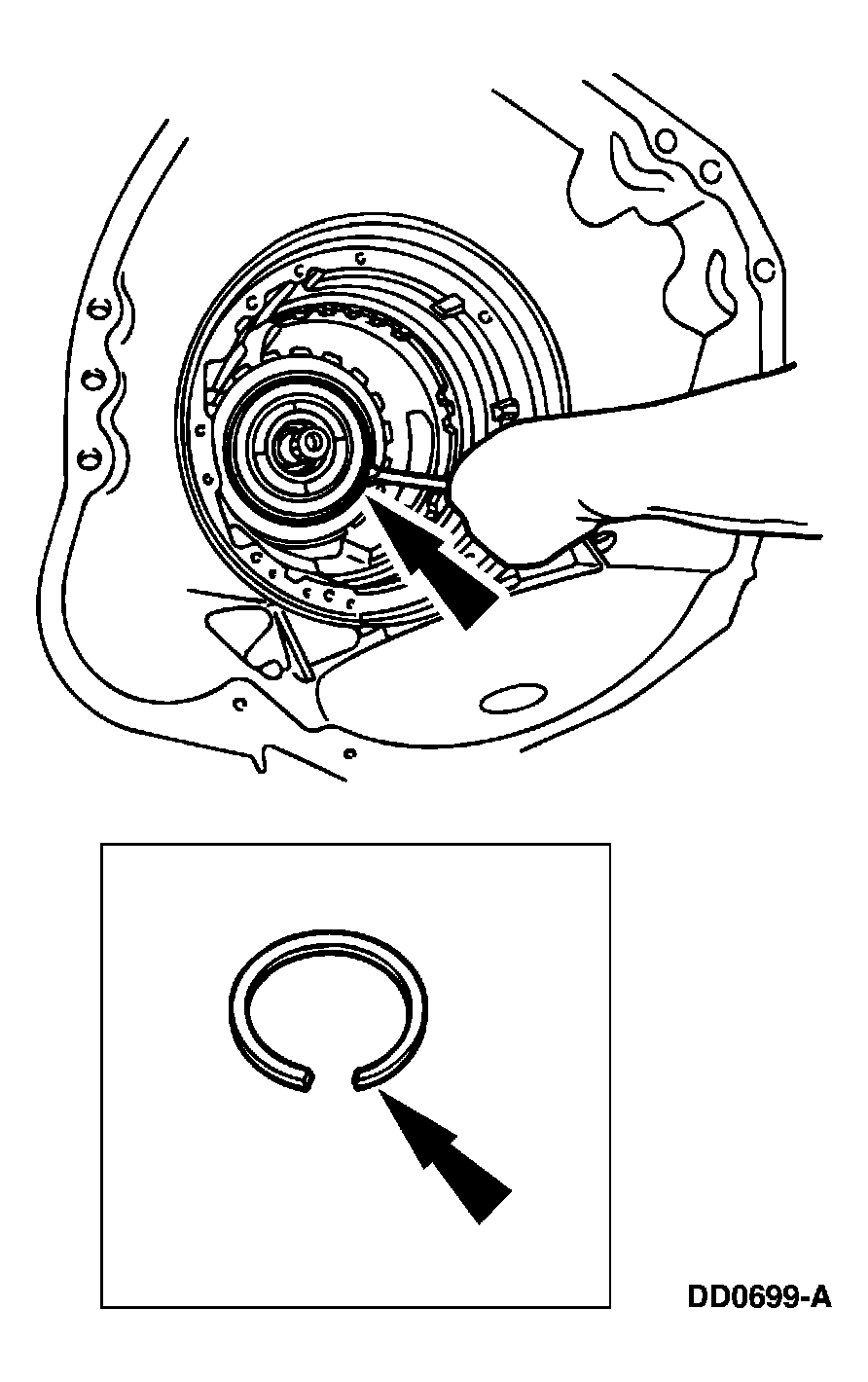 G03908691