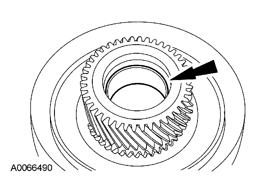 G03909253