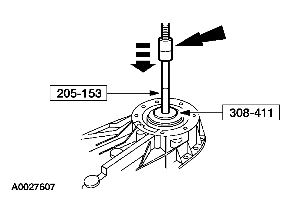 G03909788