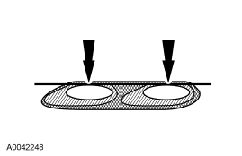 G03925058