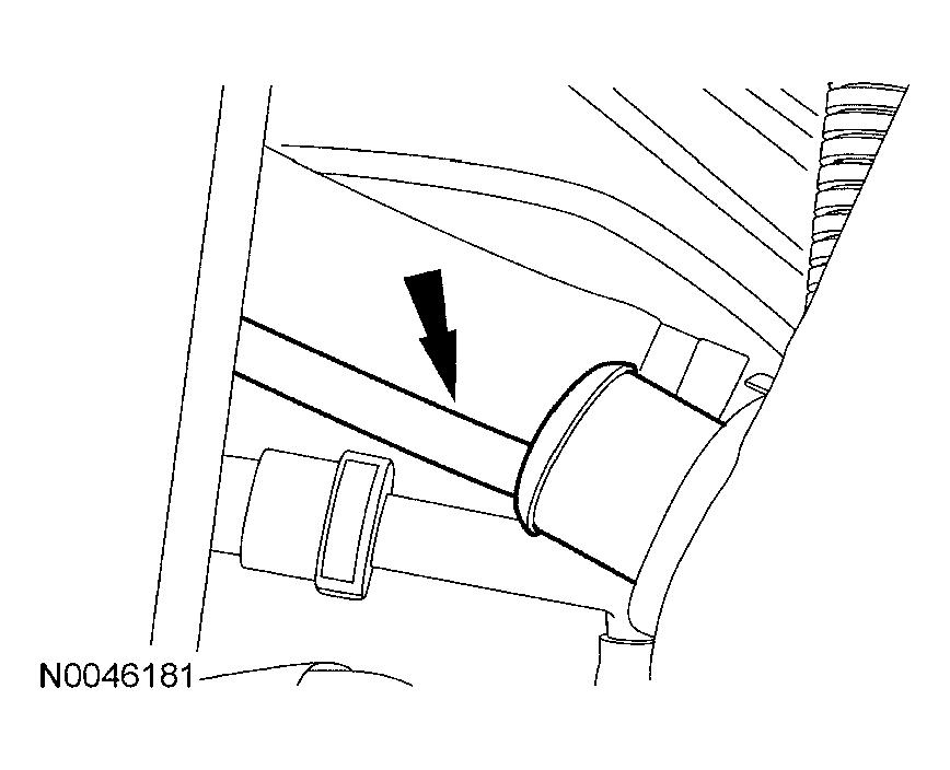 G03992081