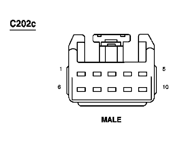 G03993446