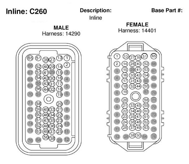 G04013295