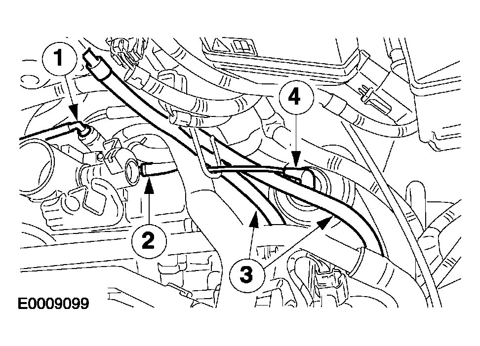 G04034884