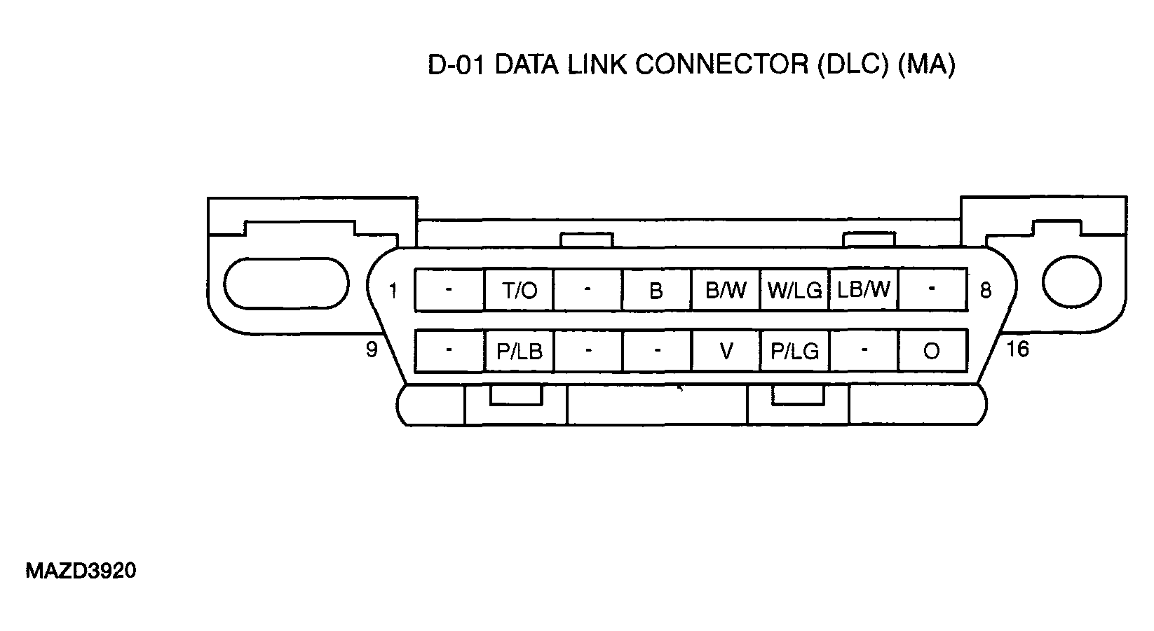 G04310146