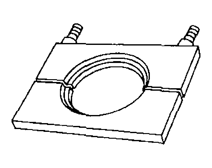 G04331081