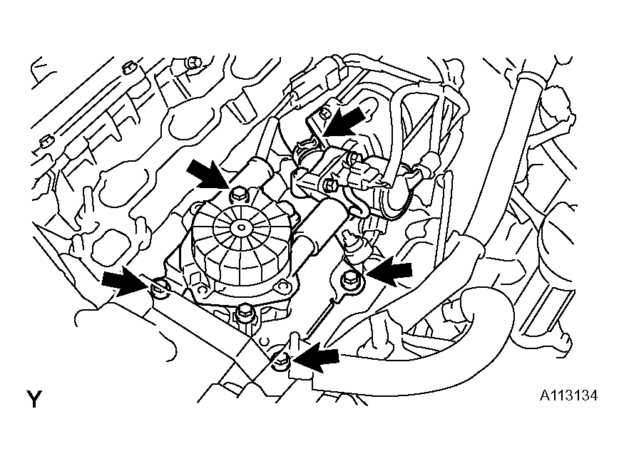 G04436131
