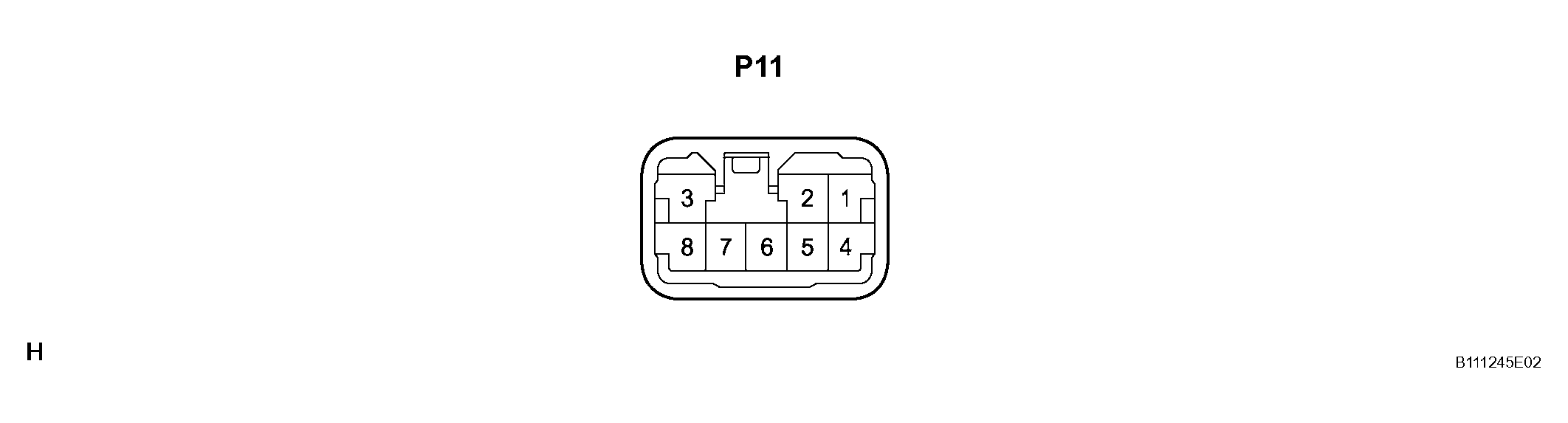 G04445338
