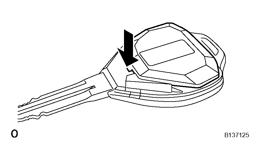 G04491082