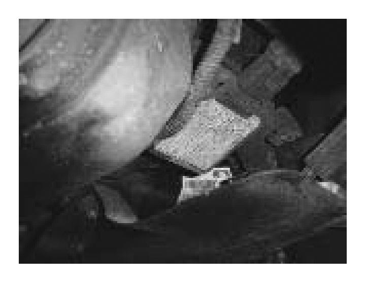 G04600665