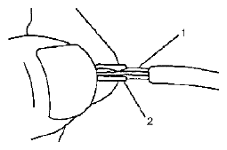 G04844815