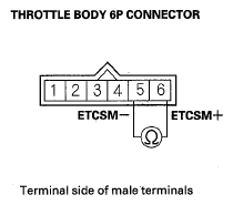 G05523919