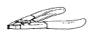 G05576991