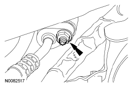 G06061965