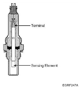 G06216319