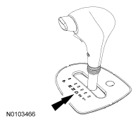 G06293296