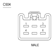 G06376246
