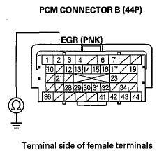 G06429584