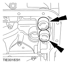 G06439691