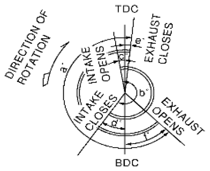 G06440861