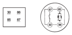 G06495236