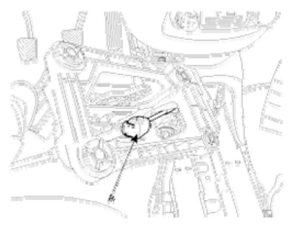 G06524455