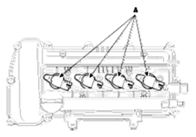 G06526036