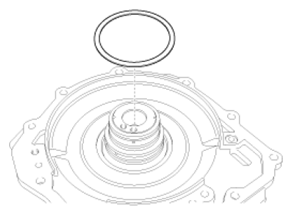 G06800779