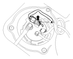 G06872231