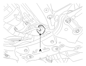 G07256392