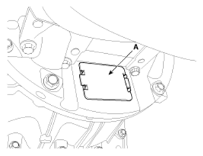 G07381806