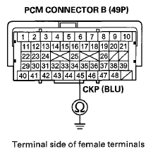 G08075561