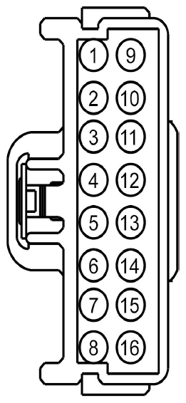 G09131447